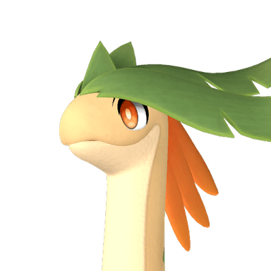 Braloha image