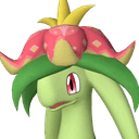 Dinossom image