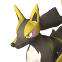 Rayhound image