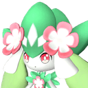 Petallia image